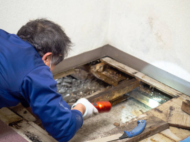 Best Mold Testing  in Clinton, WI