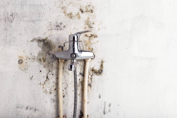 Mold Testing and Removal in Clinton, WI