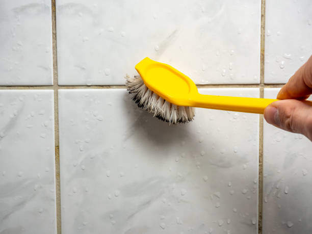 Best Best Mold Removal Companies  in Clinton, WI