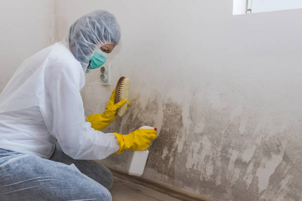 Best Mold Testing  in Clinton, WI
