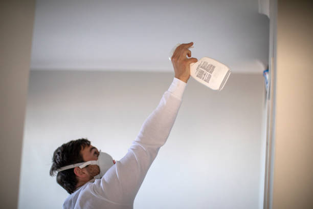 Best Mold Cleaning Services  in Clinton, WI