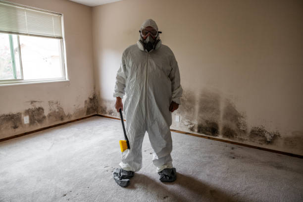 Best Attic Mold Removal  in Clinton, WI