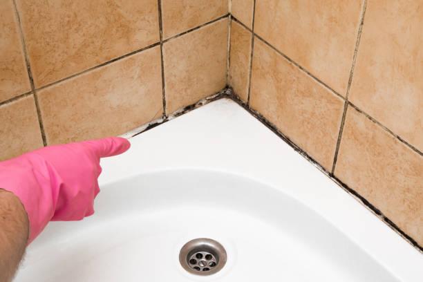 Best Mold Testing  in Clinton, WI
